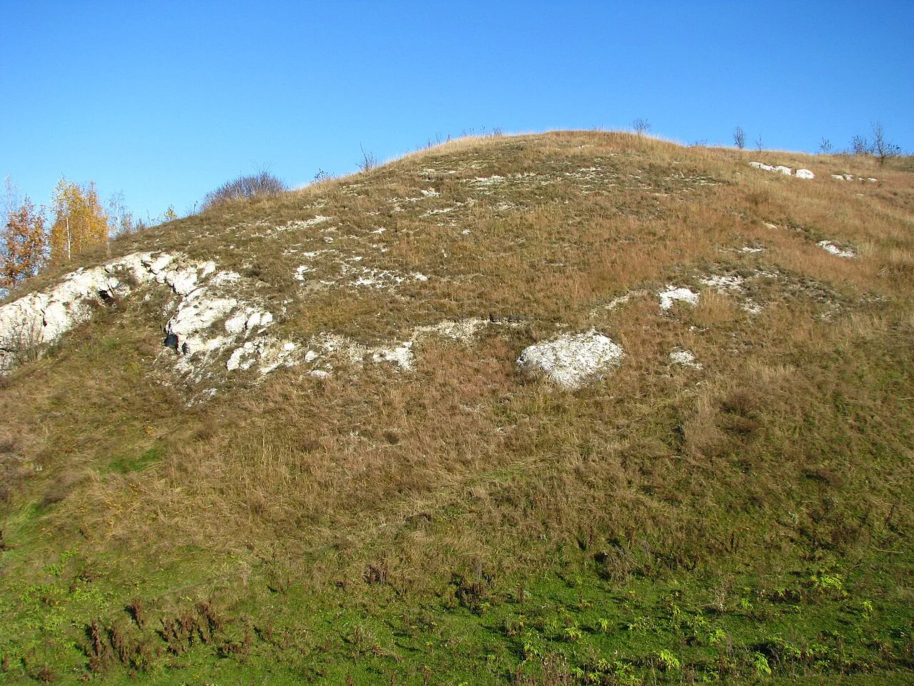 Photo of Martynivske