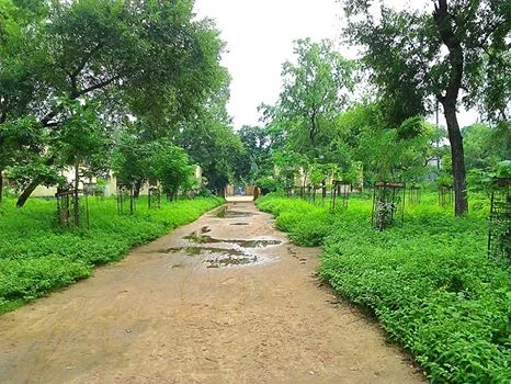 Photo of Masaurhi Buzurg