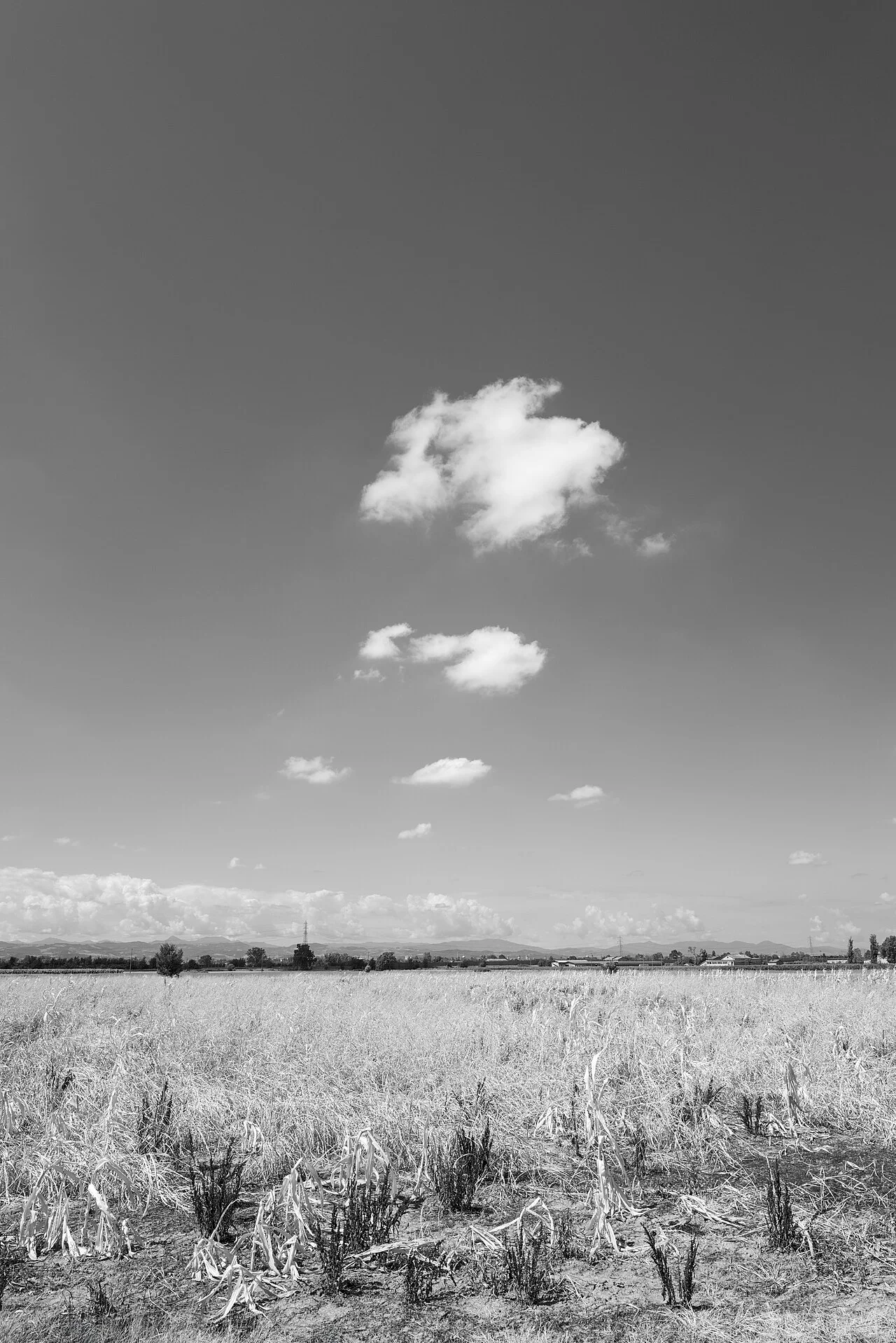 Photo of Massenzatico