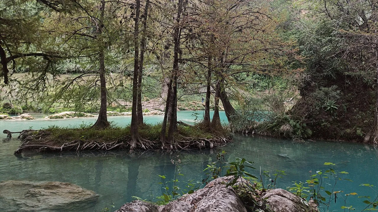 Photo of Mata Naranjo