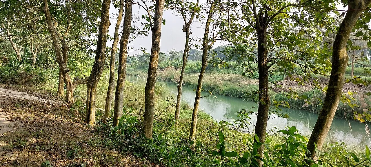 Photo of Mātābhānga