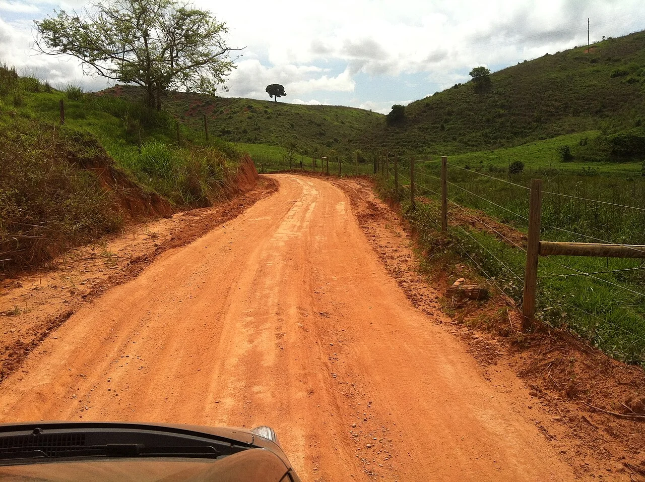 Photo of Mathias Lobato