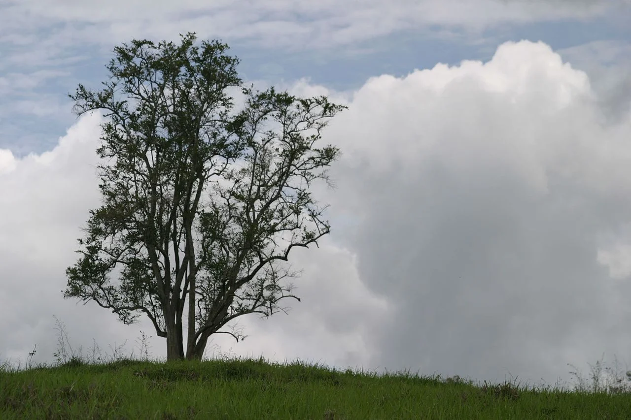 Photo of Mathias Lobato