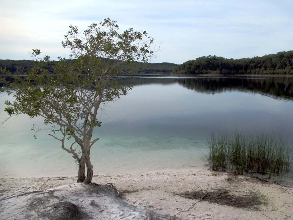 Photo of McKenzie Lake