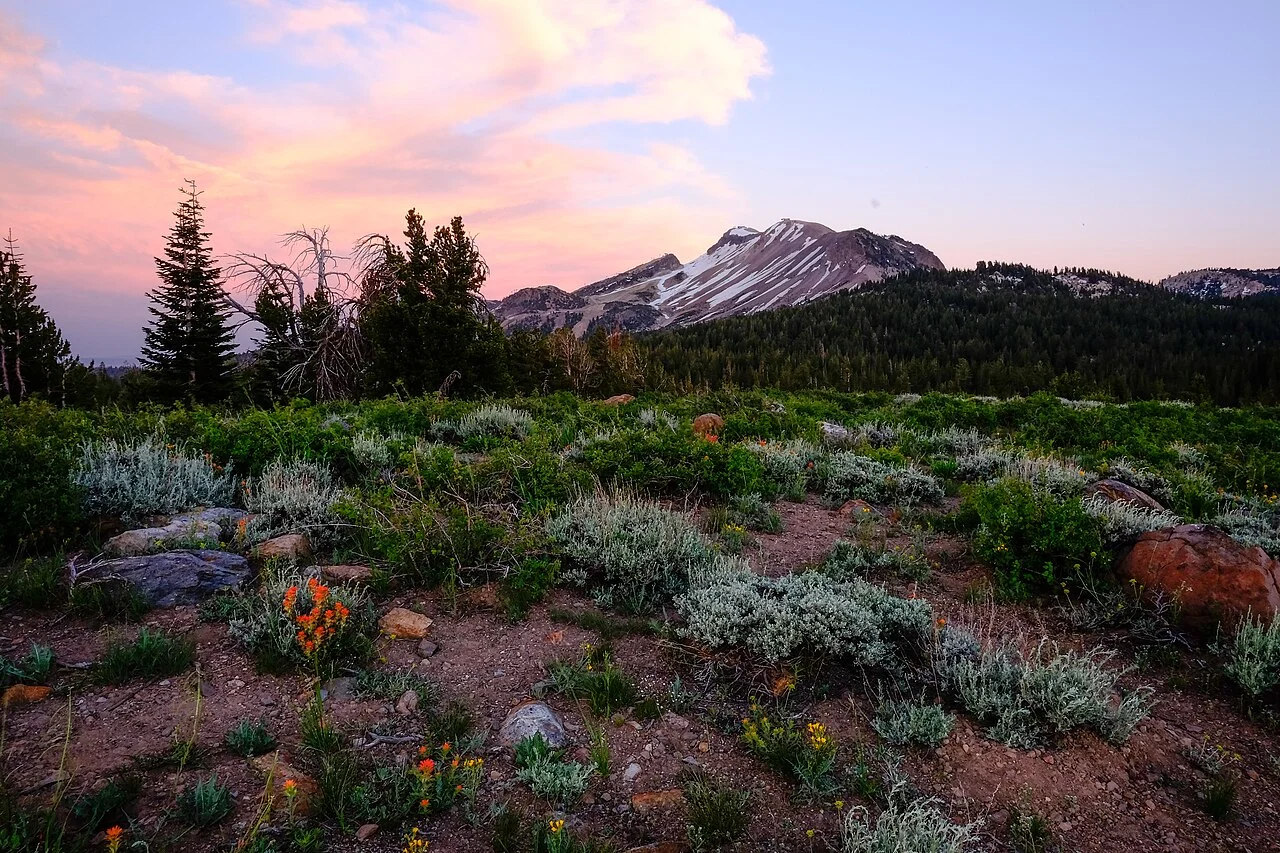Photo of Meadow Lakes
