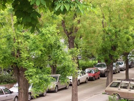 Photo of Mebusevleri