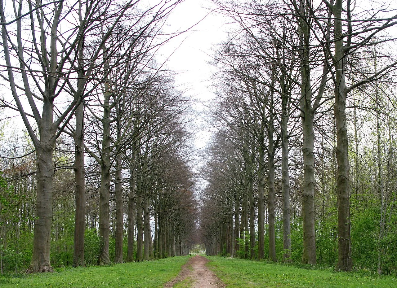 Photo of Mechelen-Bovelingen
