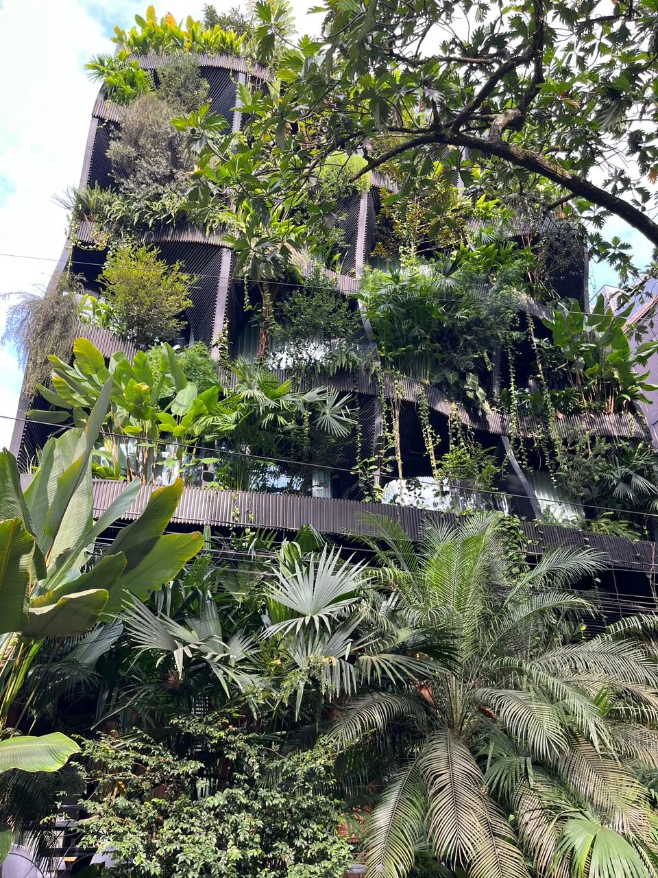 Photo of Medellín de Bravo