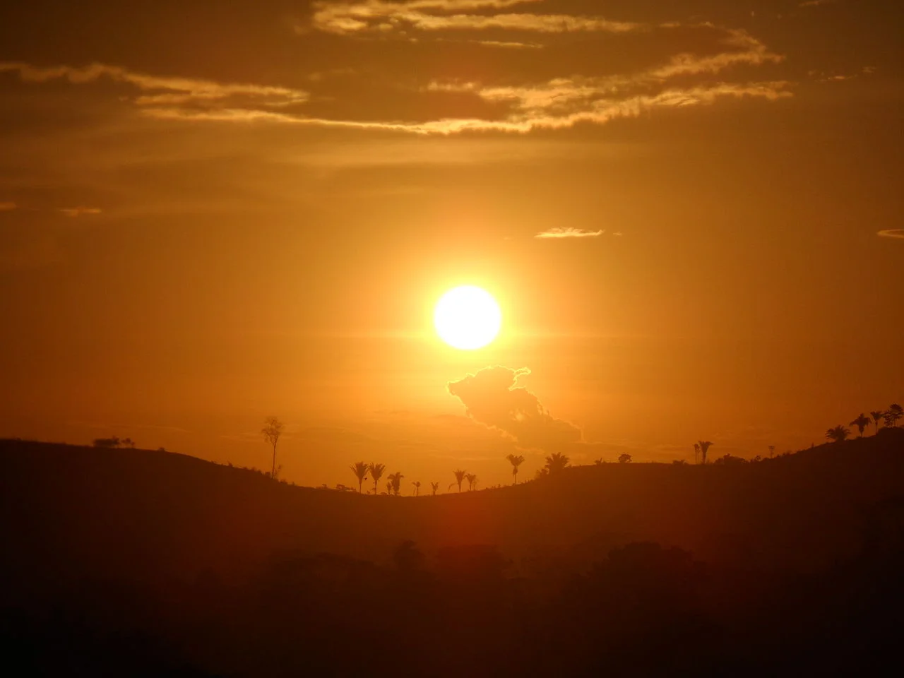 Photo of Medicilândia