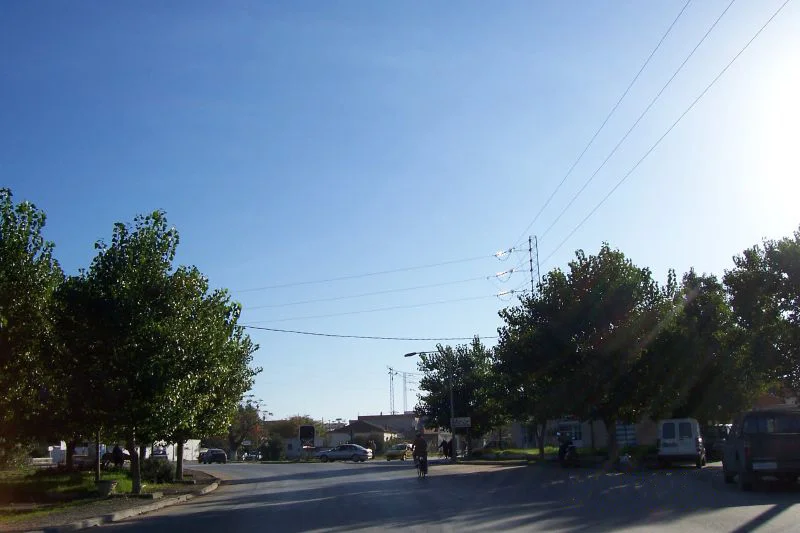 Photo of Menzel Ennour