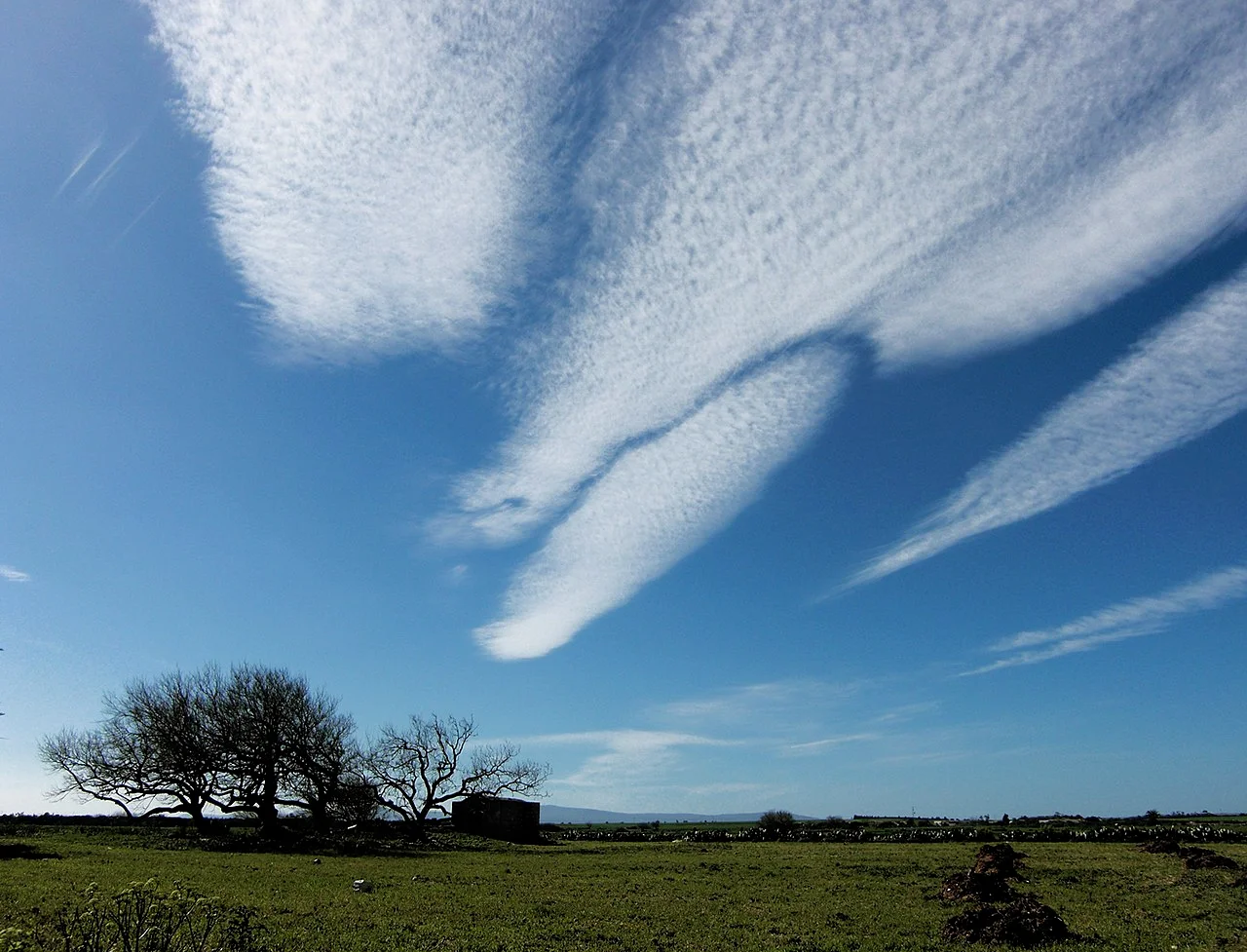 Photo of Menzel Temime
