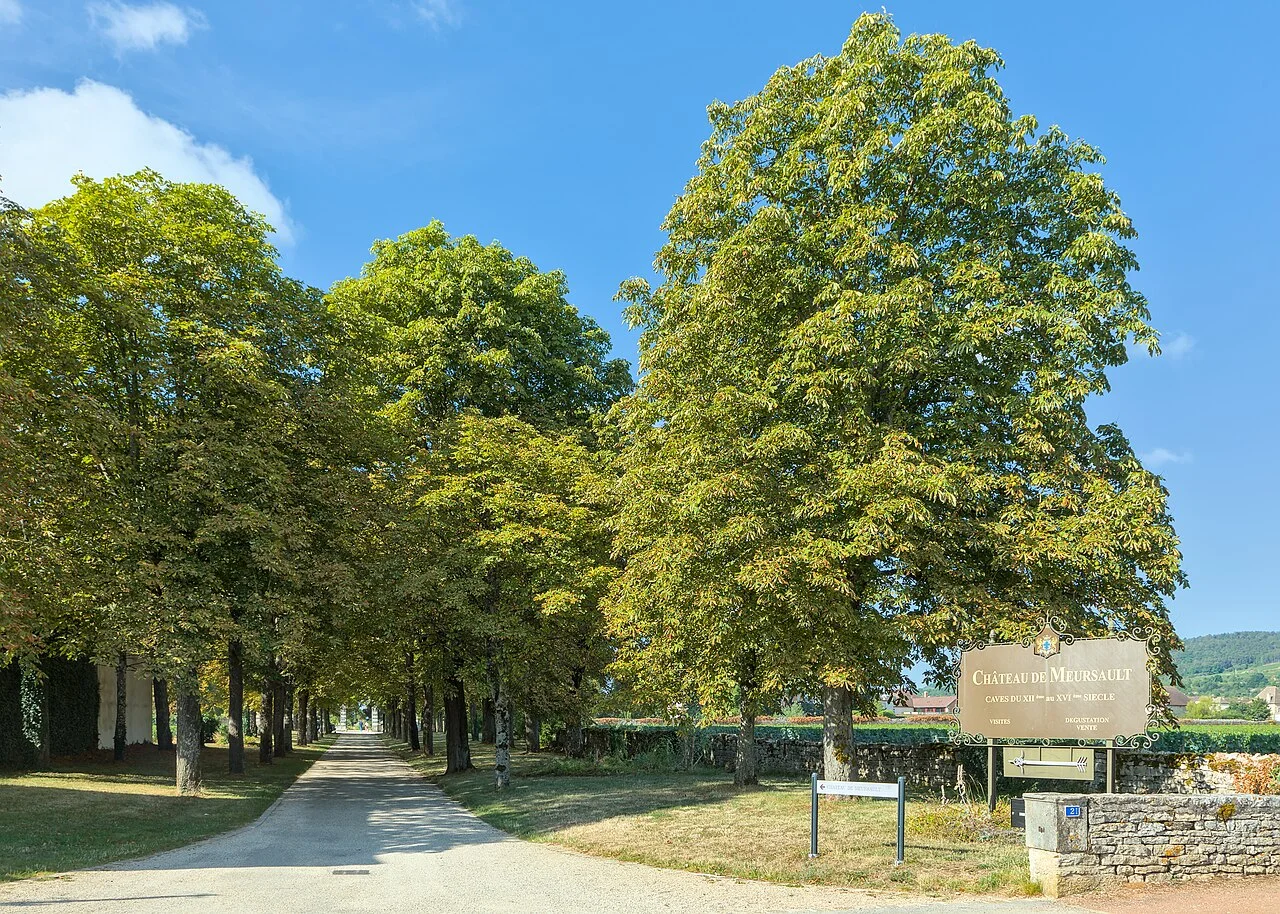 Photo of Meursault
