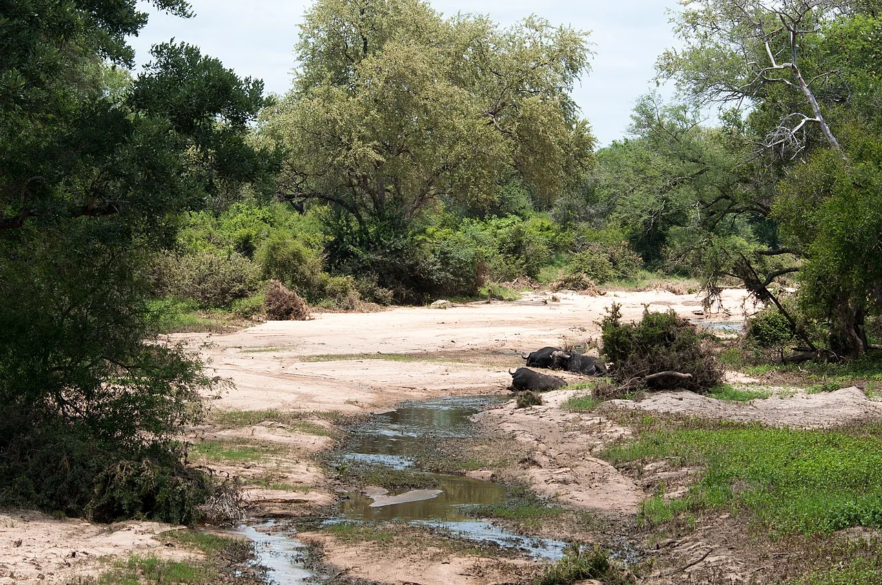 Photo of Mhlambanyatsi