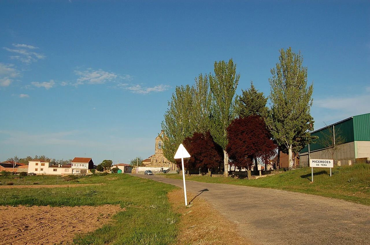 Photo of Micereces de Tera
