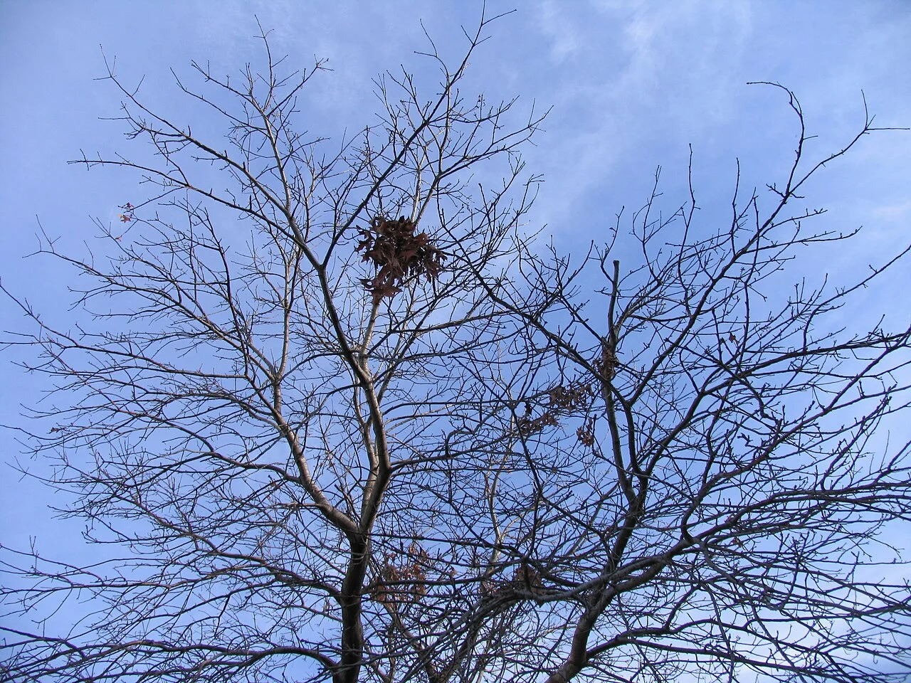 Photo of Middle Park