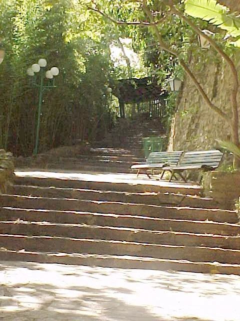 Photo of Miguel Utrilla (Los Chorros)