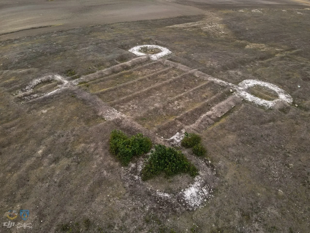 Photo of Mihai Bravu