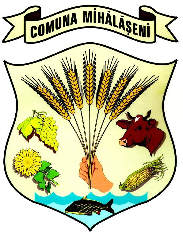 Photo of Mihălăşeni