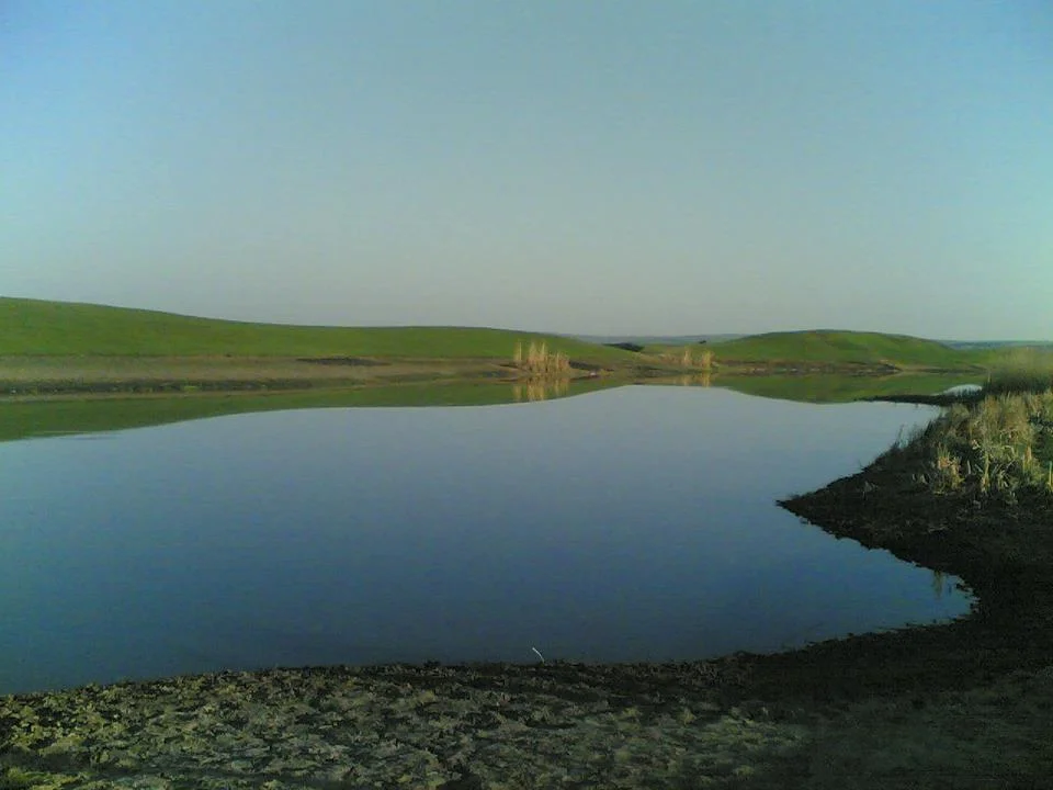 Photo of Mihălăşeni