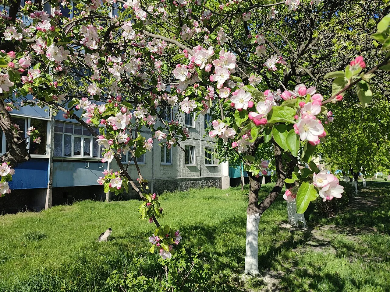 Photo of Mikashevichy