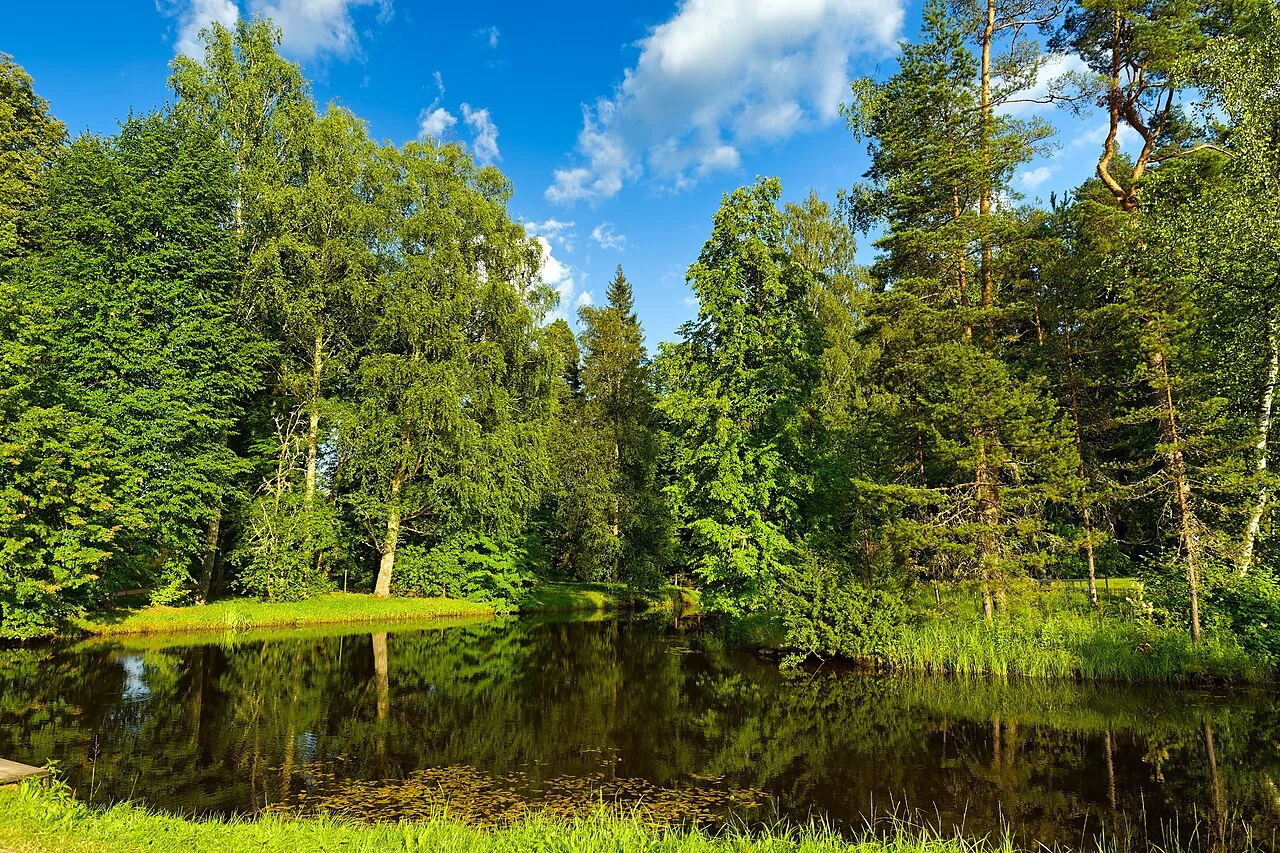 Photo of Mikhaylovskoye