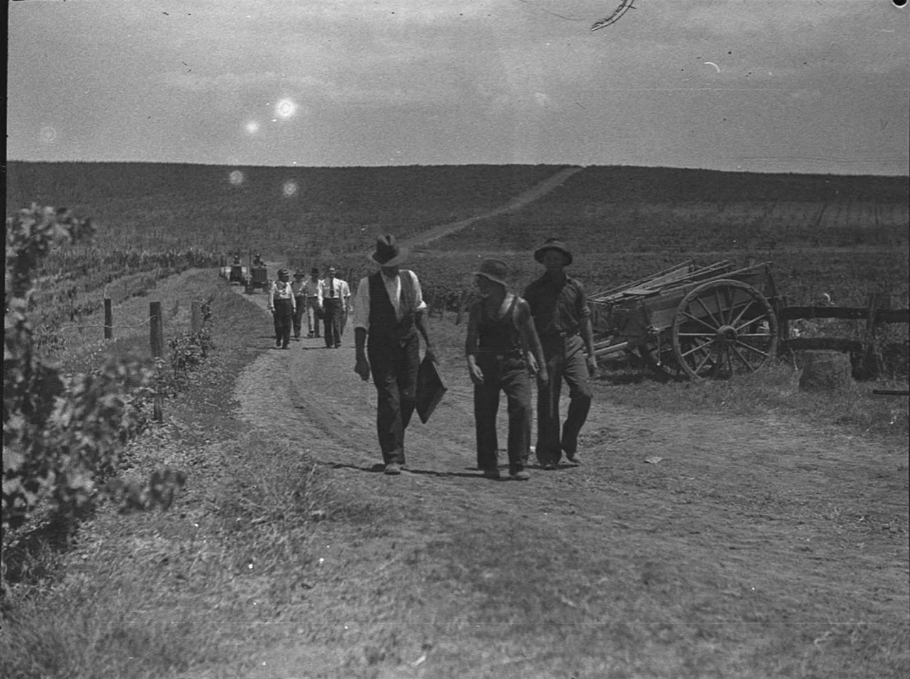 Photo of Minchinbury