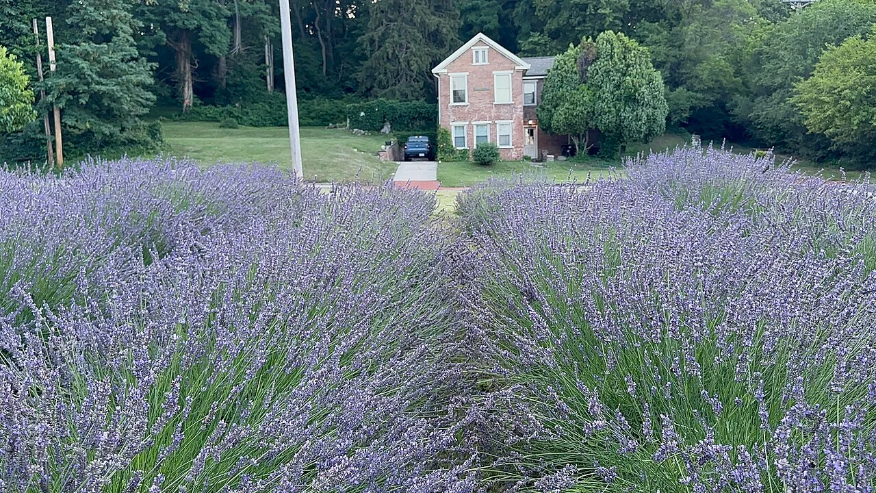 Photo of Mineral Springs