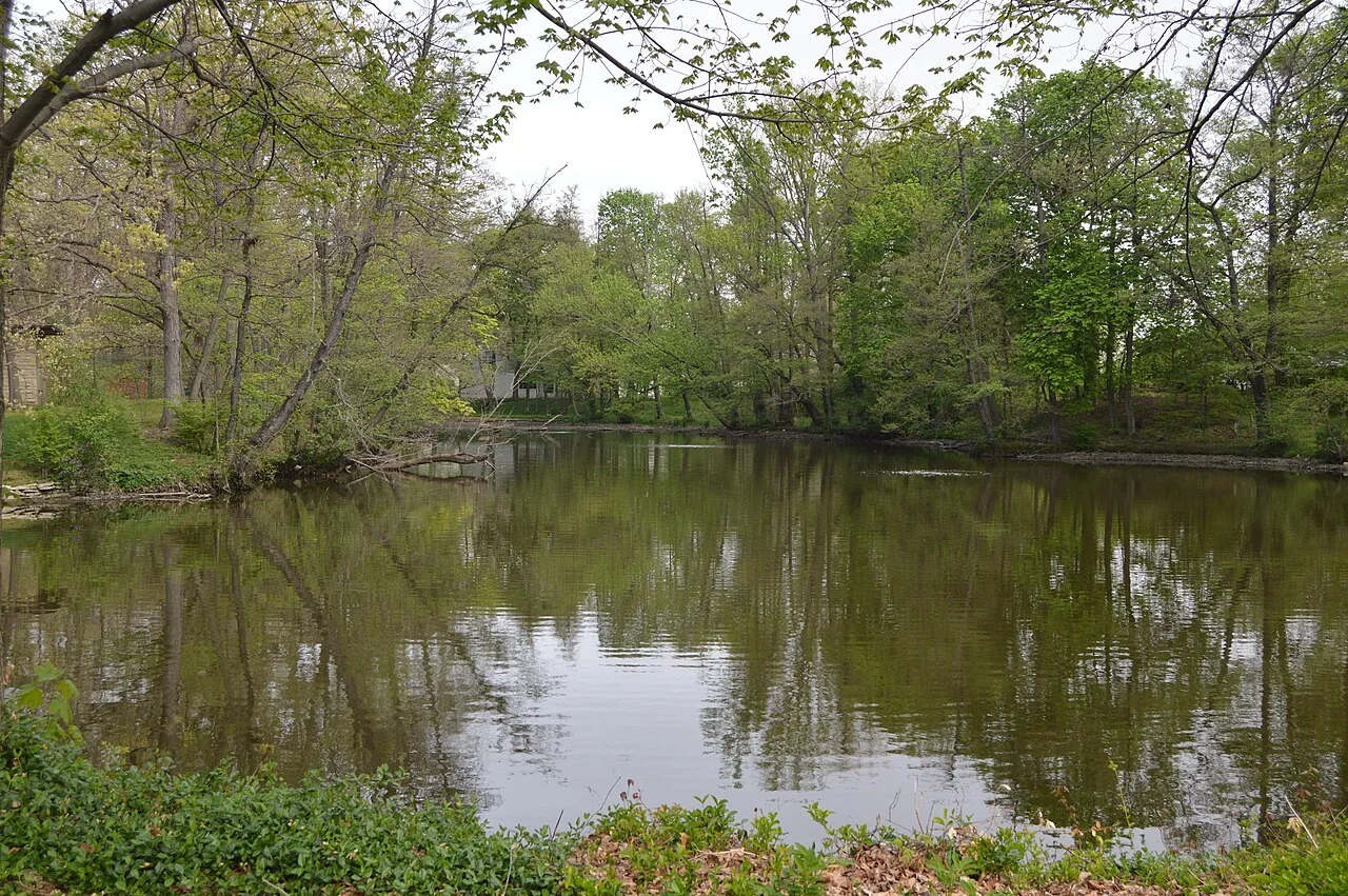 Photo of Minerva Park