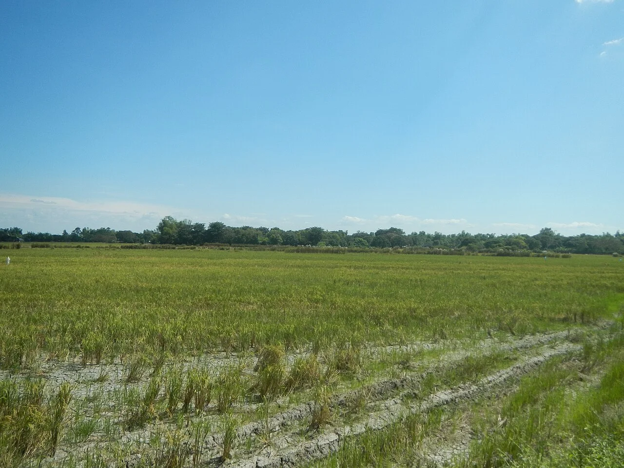 Photo of Minien East