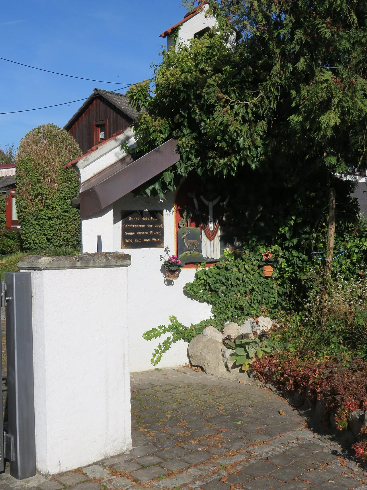 Photo of Mintraching