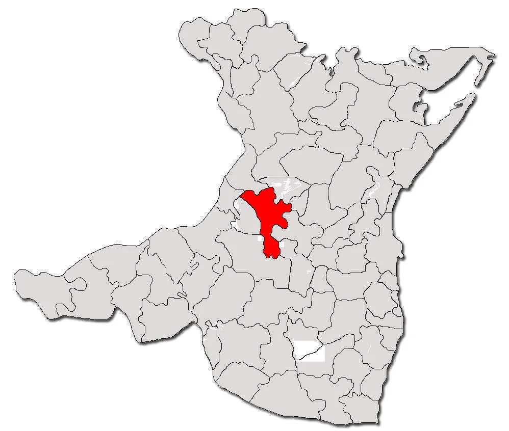 Photo of Mircea Vodă