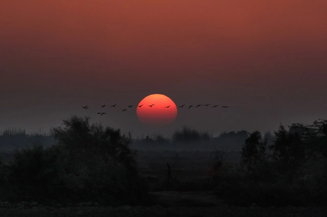 Photo of Mirpur Sakro