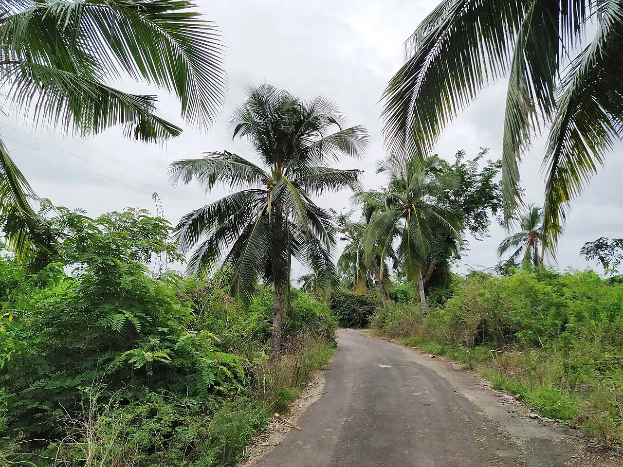 Photo of Mitsamiouli