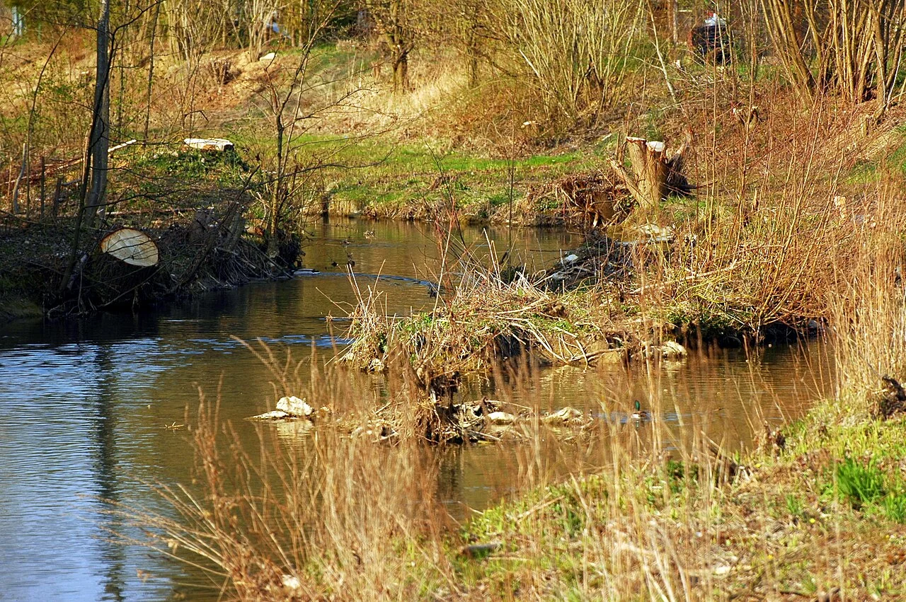 Photo of Mittelschefflenz