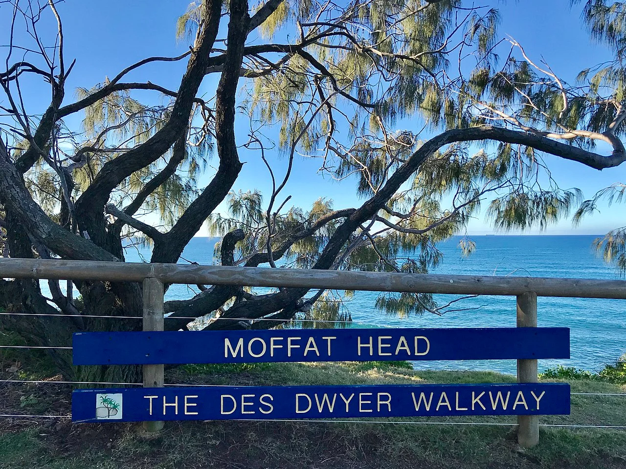Photo of Moffat Beach