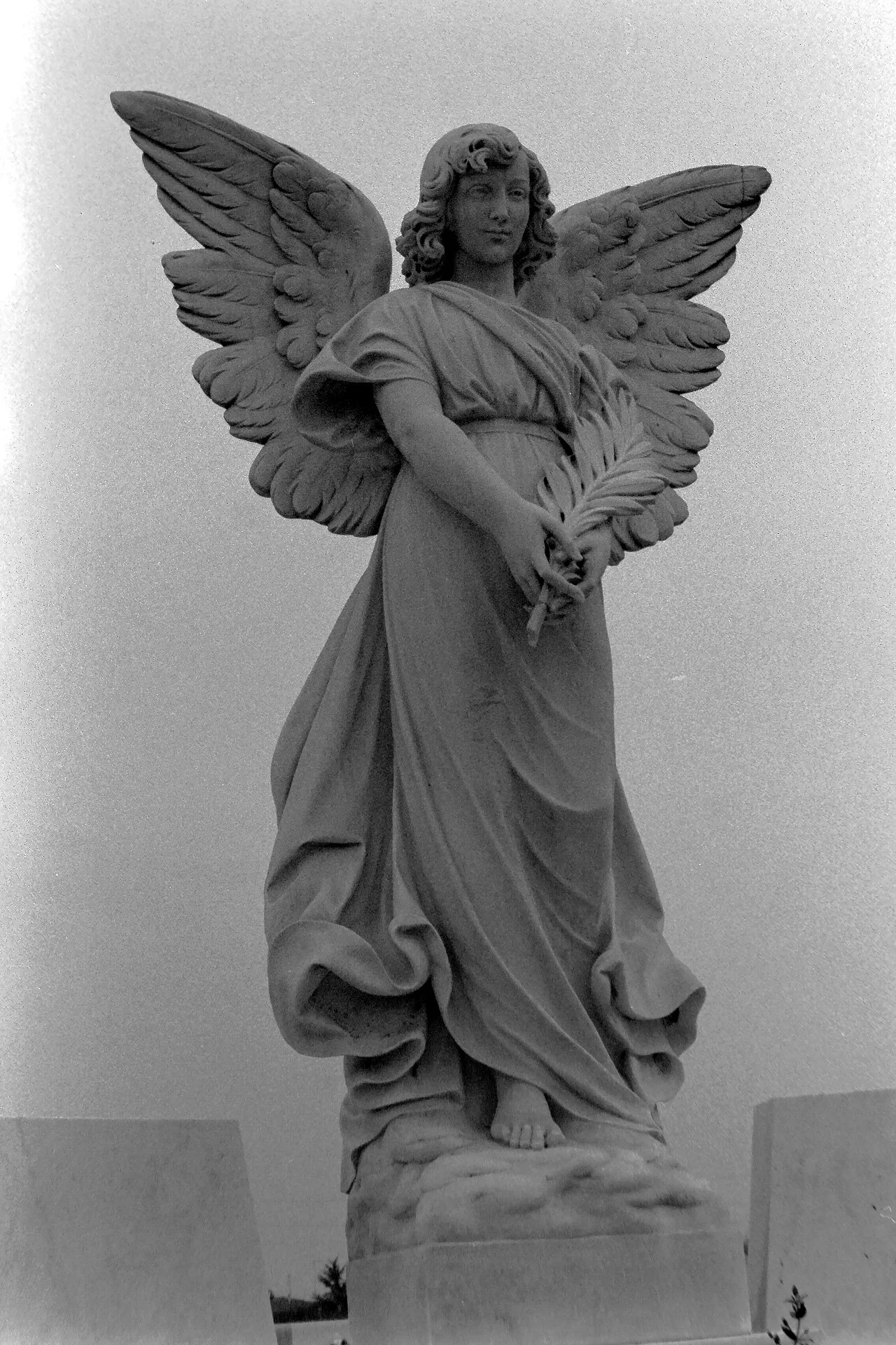 Photo of Mogliano Veneto