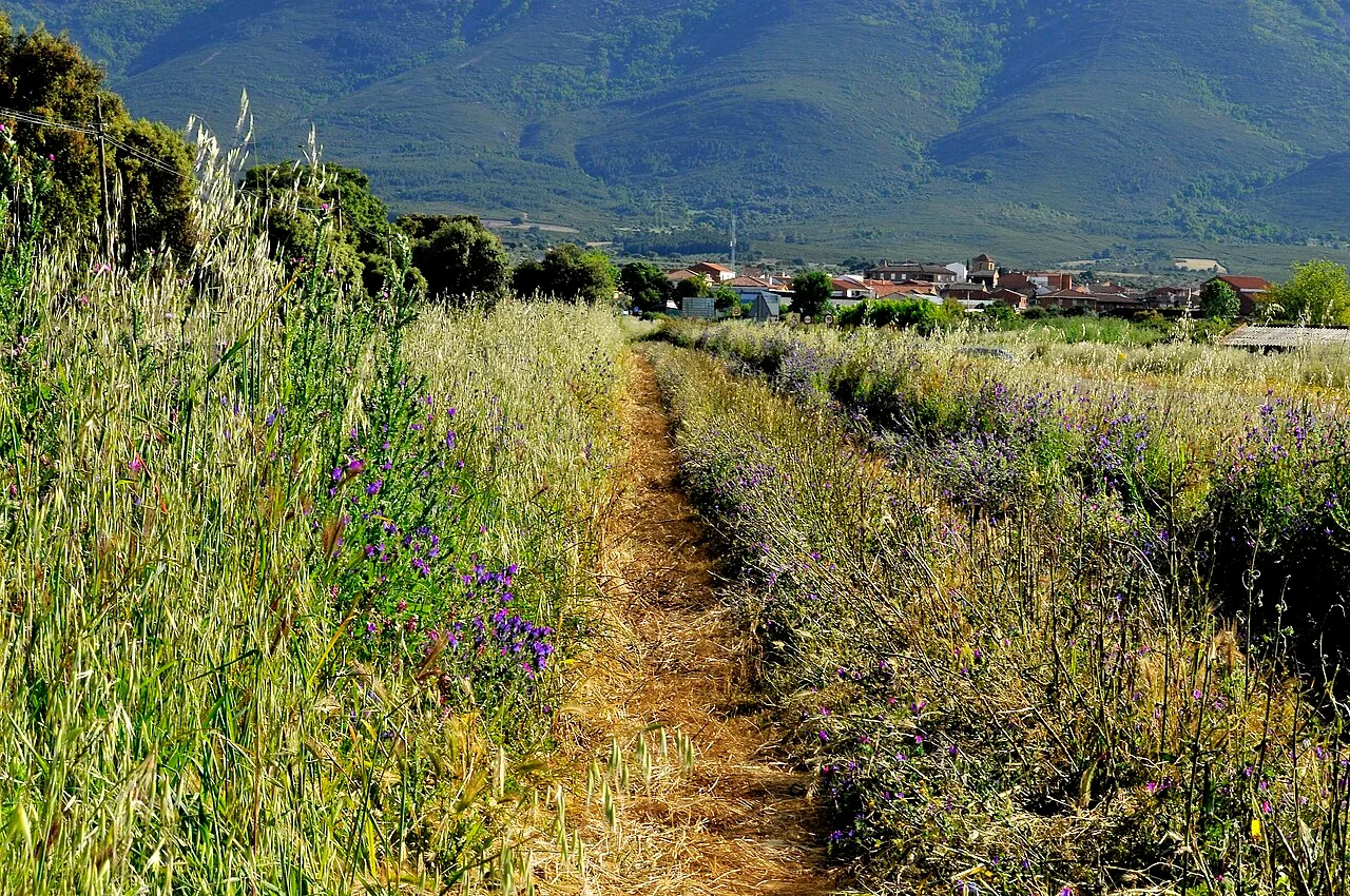 Photo of Mohedas de la Jara