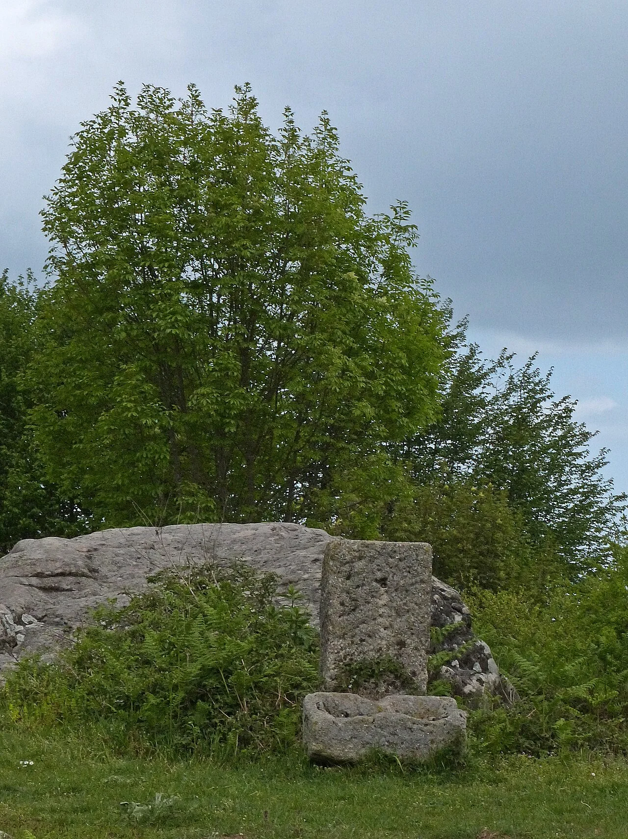 Photo of Moio della Civitella-Pellare