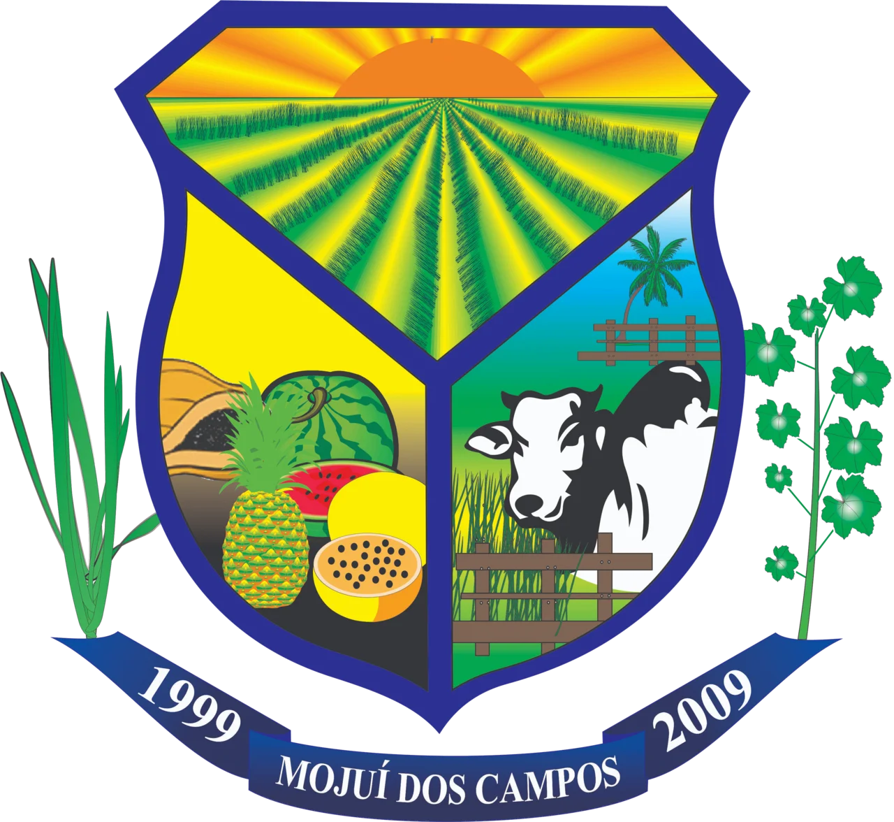 Photo of Mojuí dos Campos