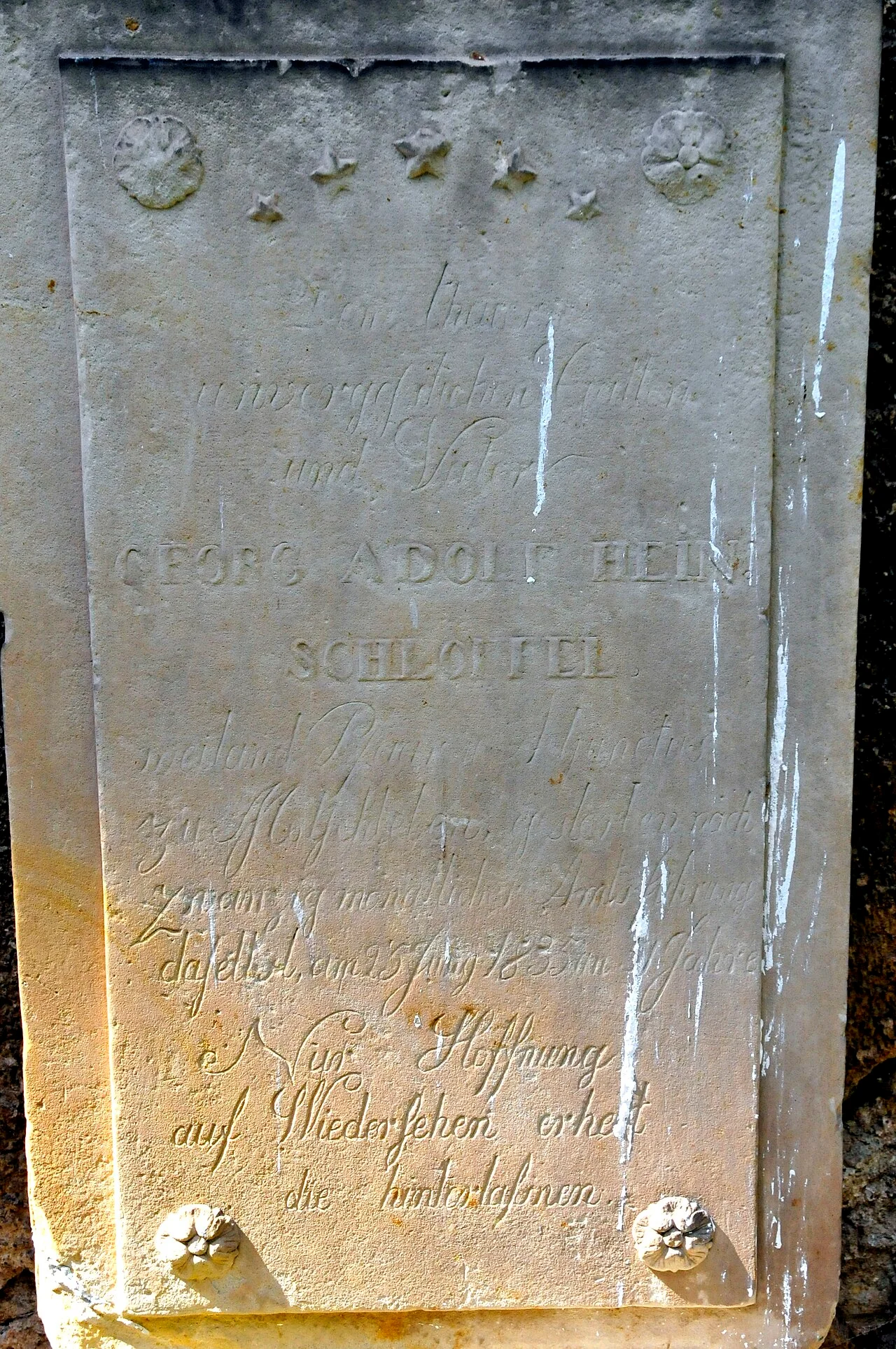 Photo of Molschleben