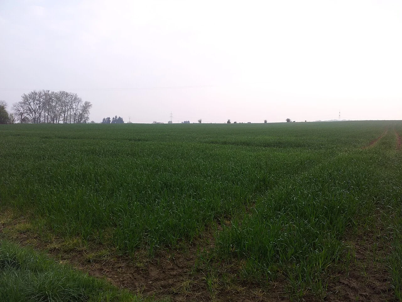 Photo of Mondercange