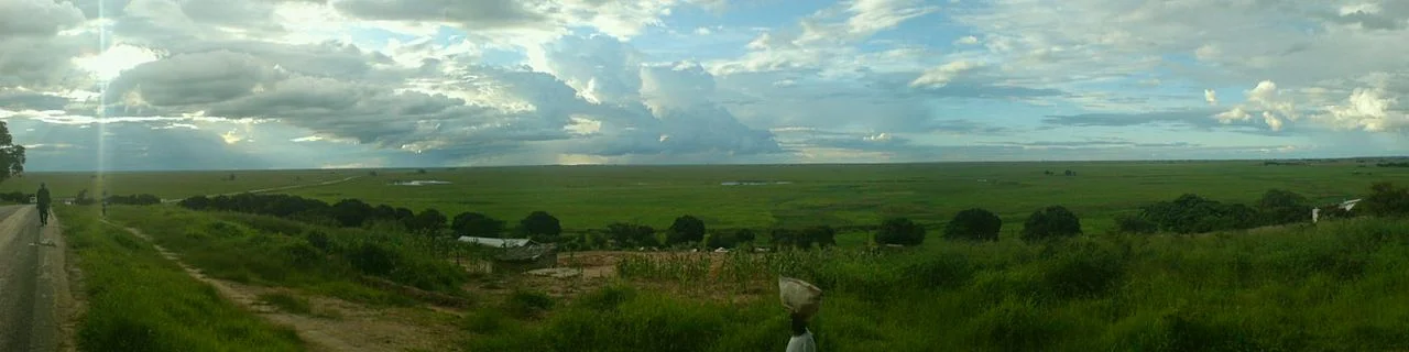 Photo of Mongu