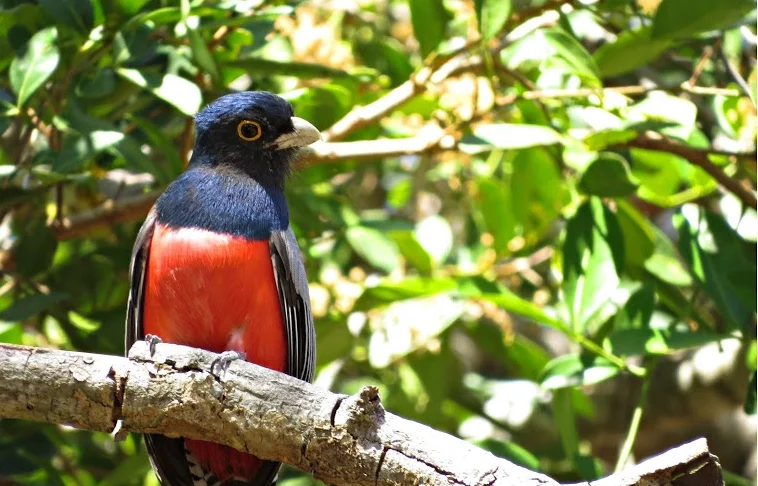 Photo of Monsenhor Gil