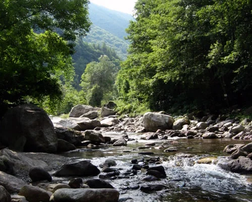 Photo of Montaldo di Mondovì