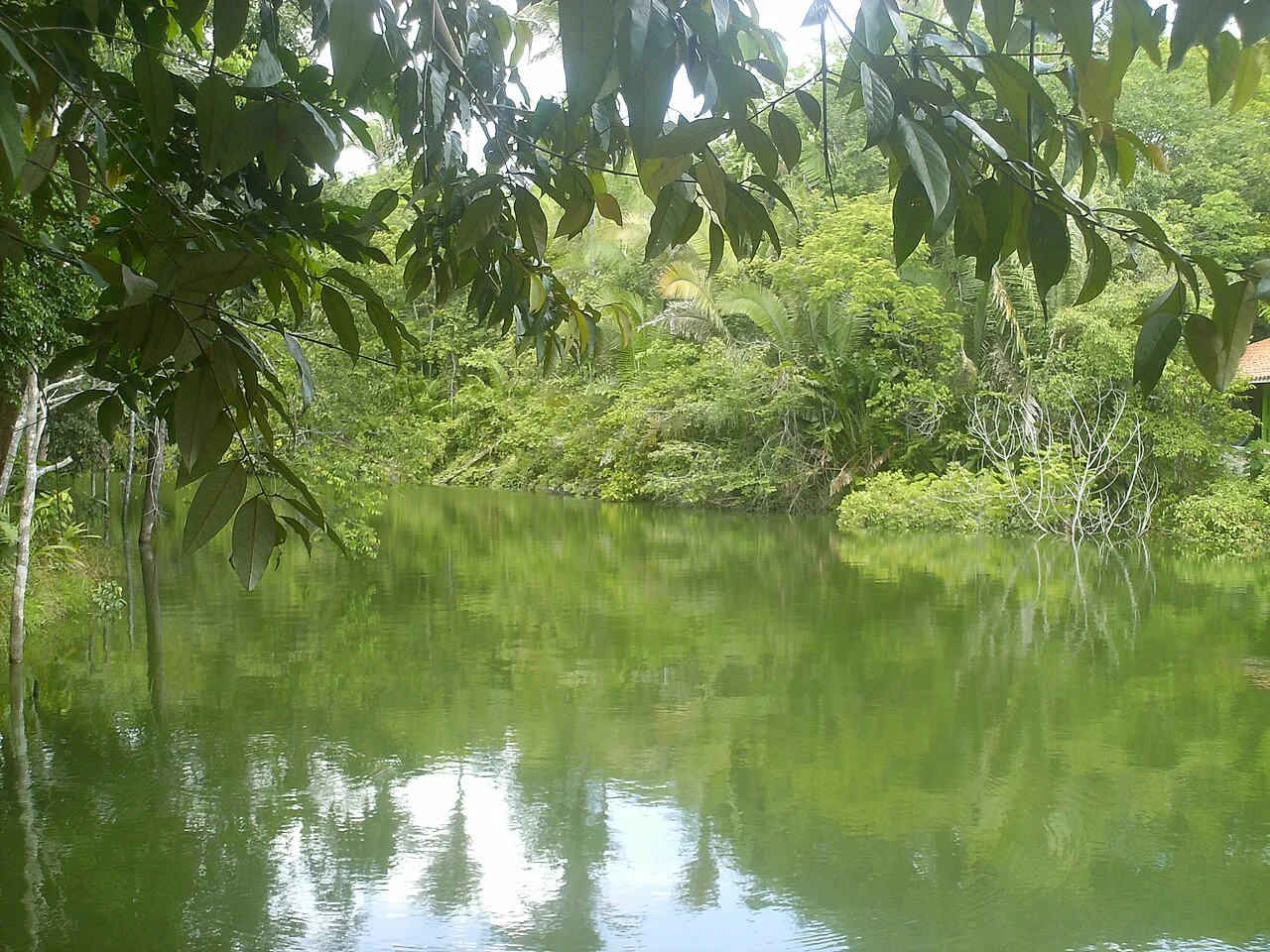 Photo of Monte das Gameleiras