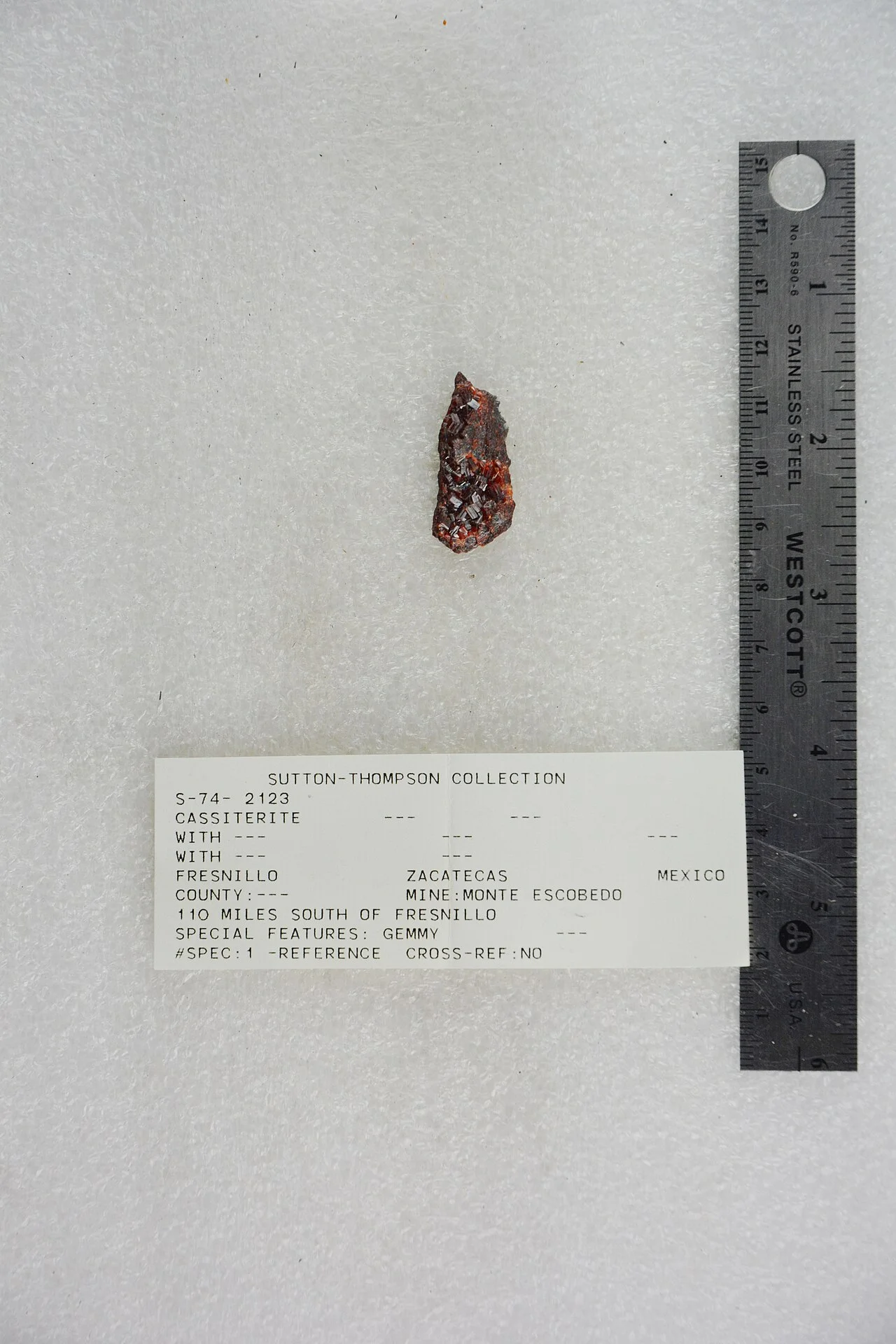 Photo of Monte Escobedo