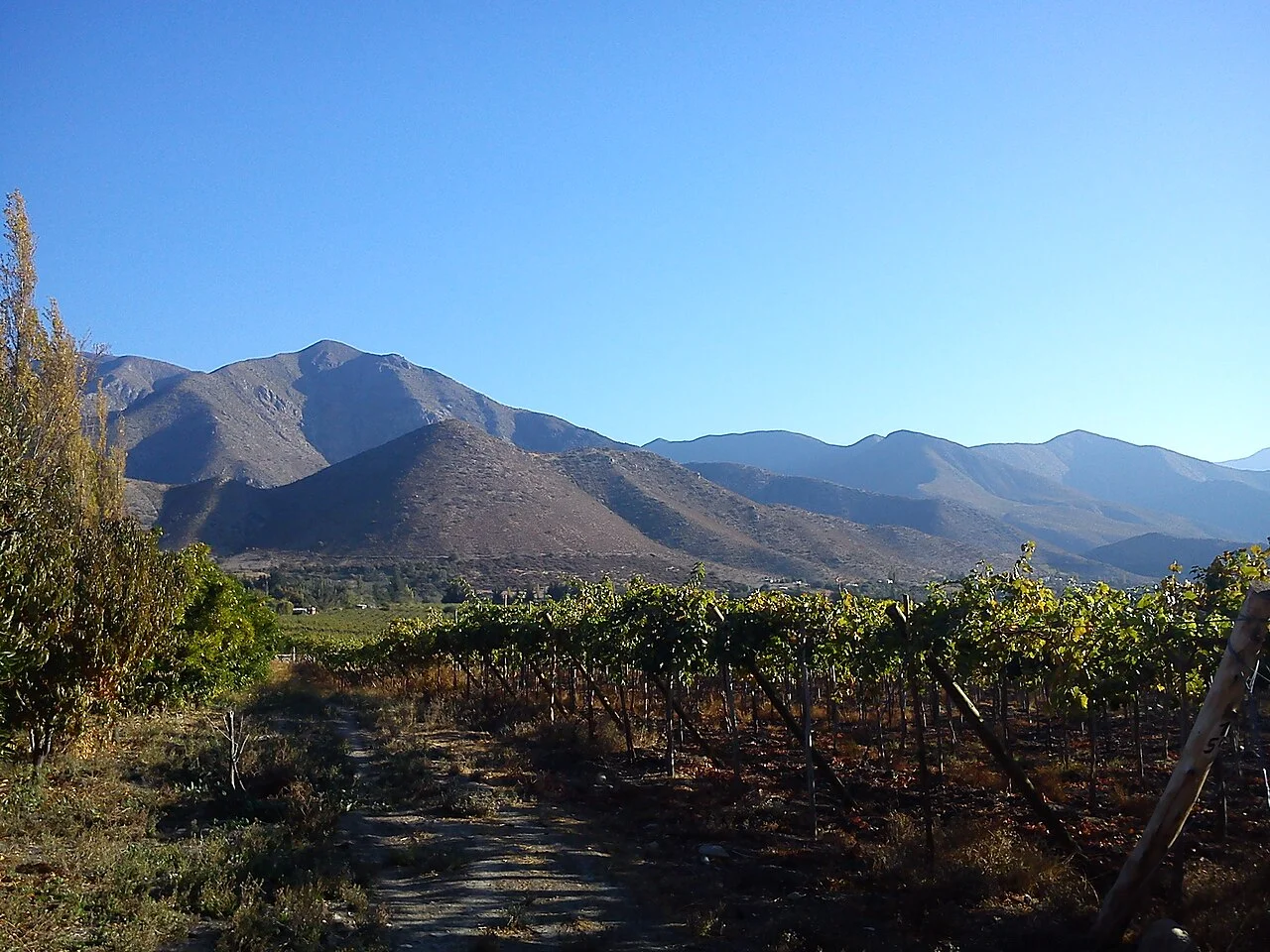 Photo of Monte Patria