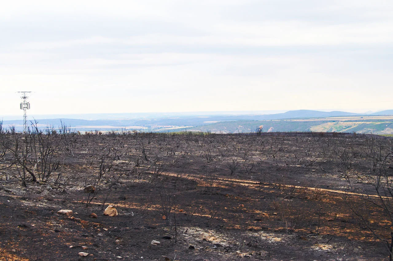 Photo of Monte Quemado