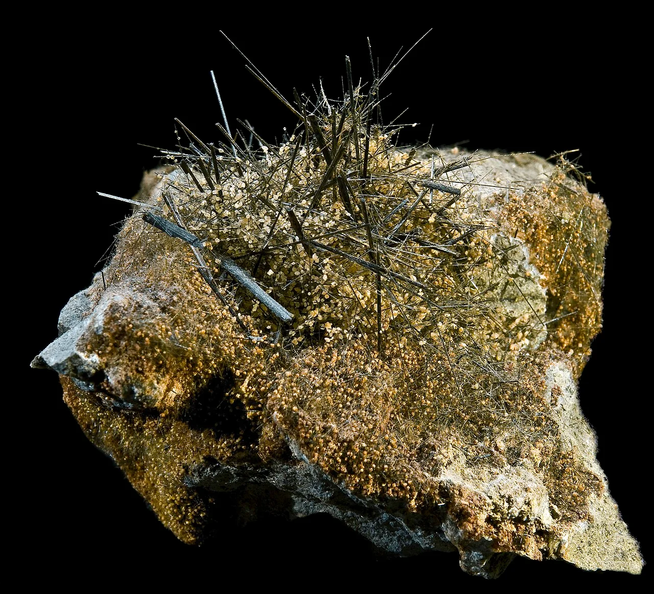 Photo of Monte Redondo