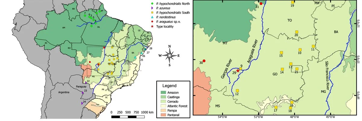 Photo of Monte Santo do Tocantins